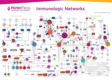 Исследование роли питания в повышении иммунитета против болезней