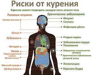 Влияние курения на сердечно-сосудистую систему