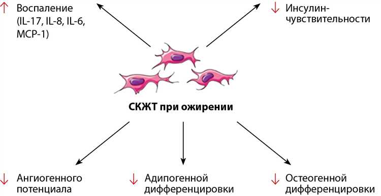 Сердечно-сосудистые заболевания