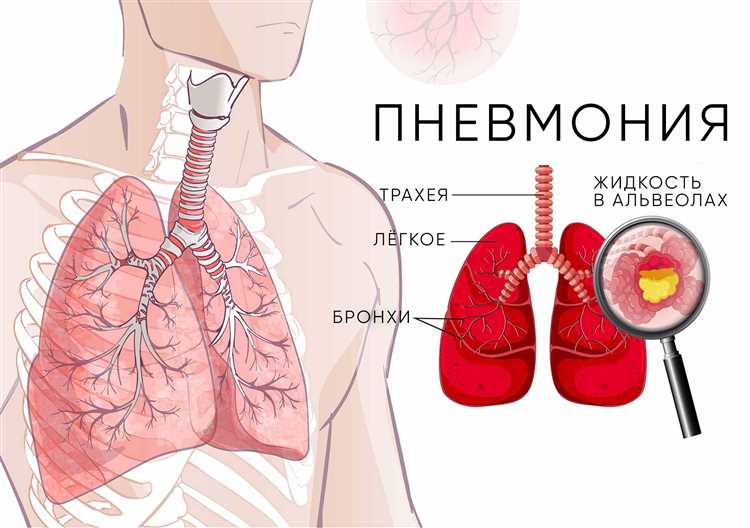 1. Цитрусовые фрукты