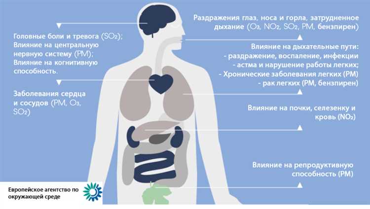 Воздействие загрязнения воздуха на риск развития онкологии