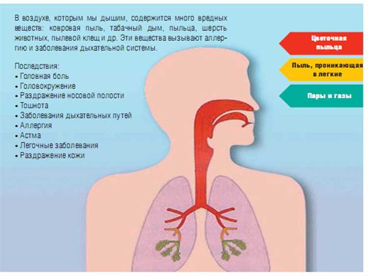 Последствия загрязнения воздуха для человека