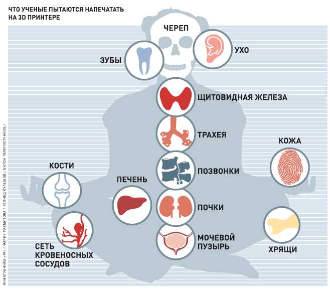 Преимущества искусственных органов