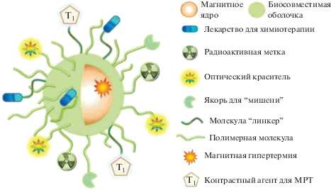 Понимание принципов наномедицины