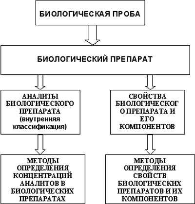 1. Аккредитация и лицензирование