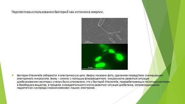 Преимущества использования нанотехнологий в доставке лекарств