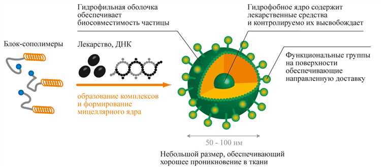 Изучение использования нанотехнологий для доставки медицинских лекарств